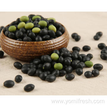 Black Bean Nutrition Facts